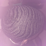 Profile picture of Bryansaintilbert